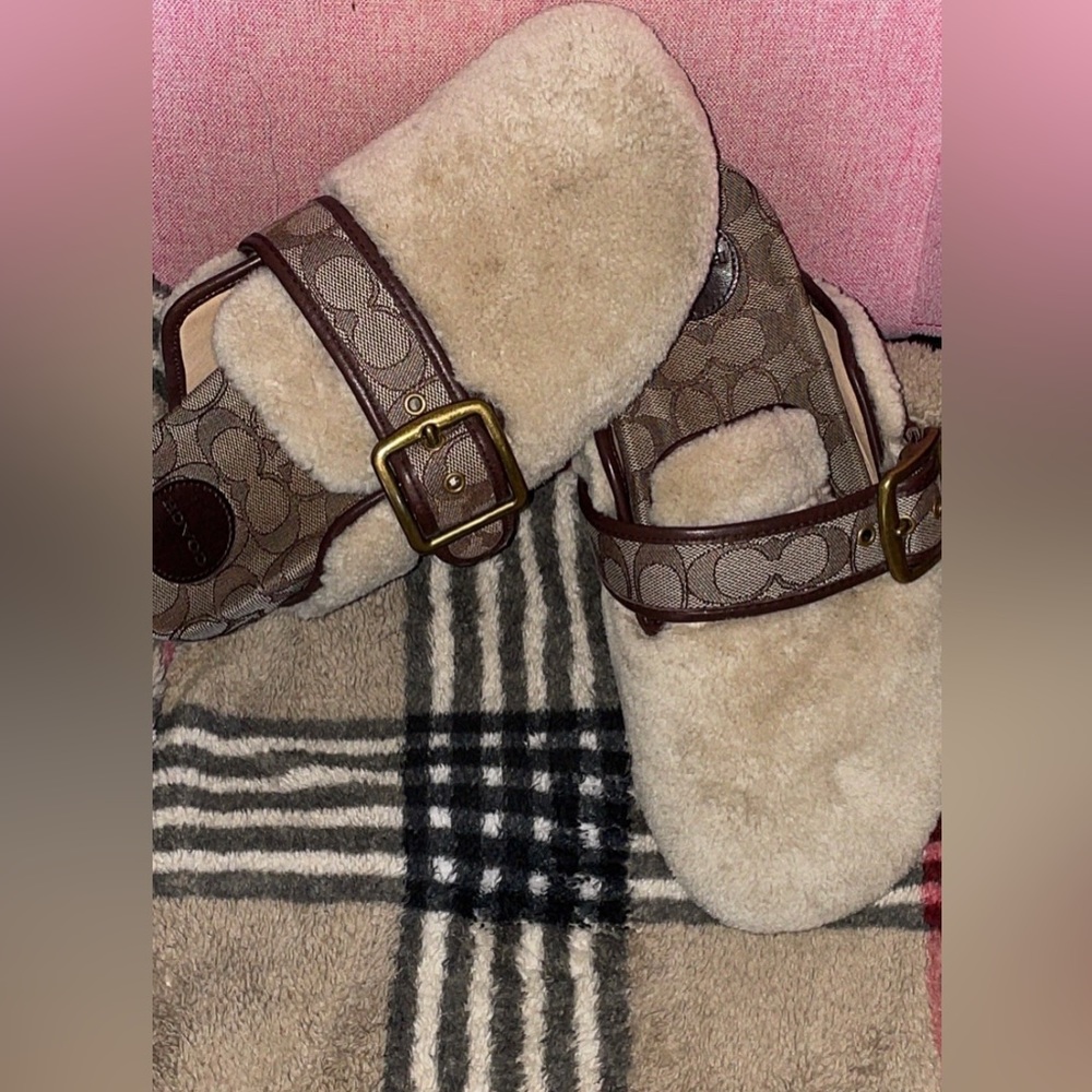 Coach Shearling Clogs